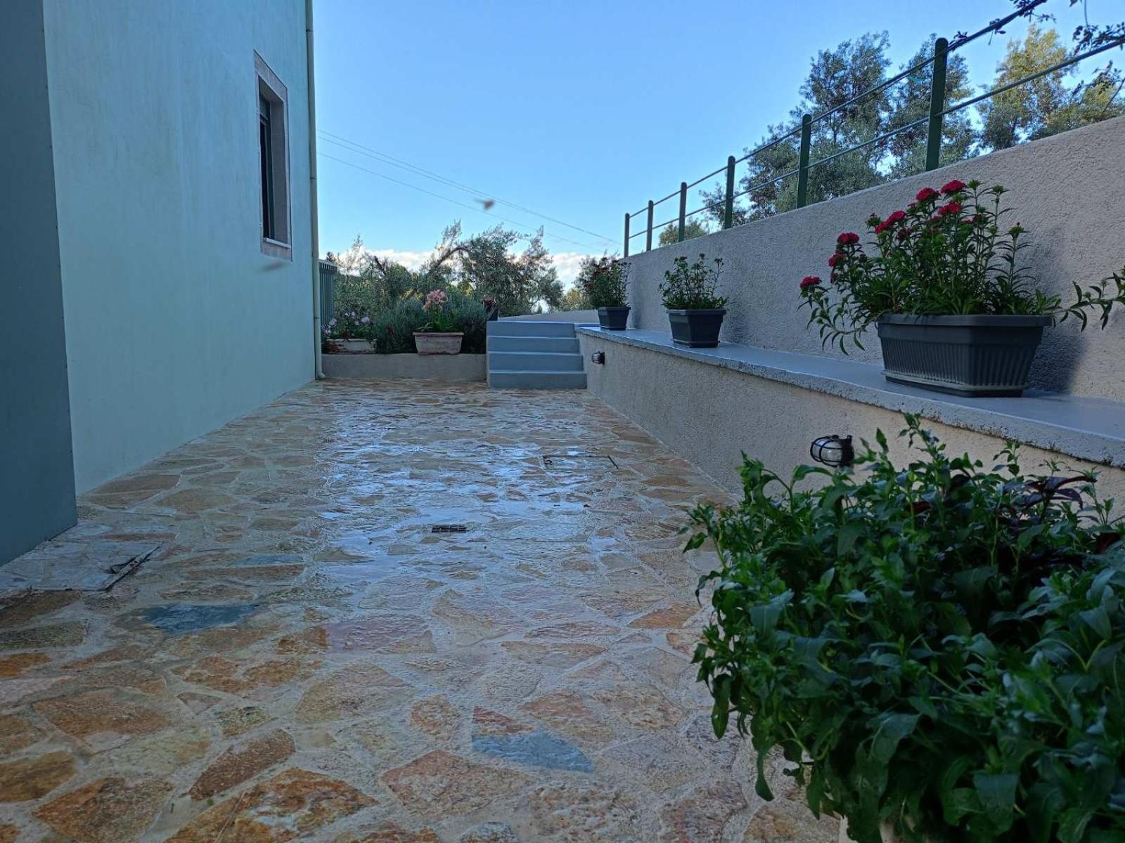 Armonia Villa Lefkada Kariótai Eksteriør billede